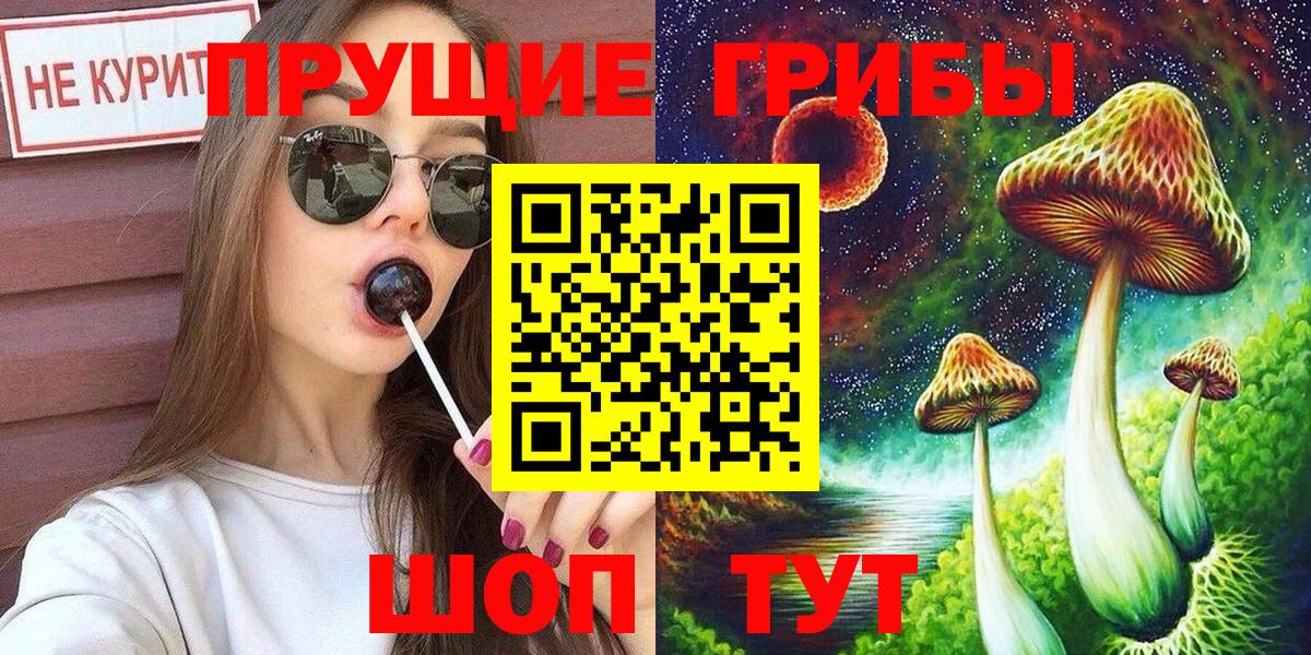 Псилоцибиновые грибы Cubensis  Вход с VPN  Егорьевск  Галлюциногенные грибы мицелий 